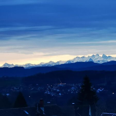 Apartament Alpenpanorama Haegelberg Steinen  Zewnętrze zdjęcie
