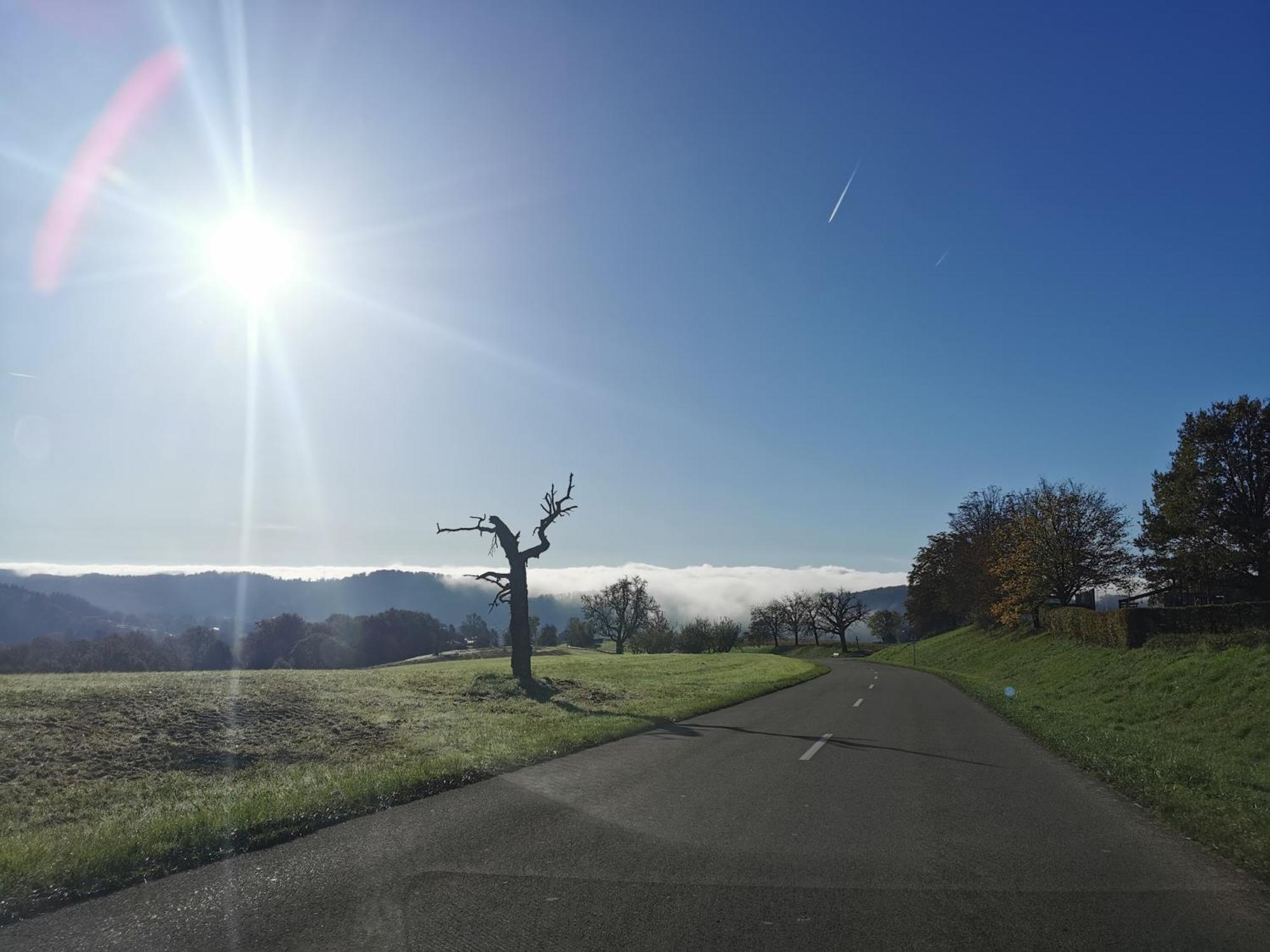 Apartament Alpenpanorama Haegelberg Steinen  Zewnętrze zdjęcie